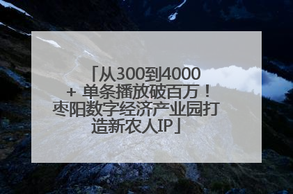 从300到4000+ 单条播放破百万！枣阳数字经济产业园打造新农人IP