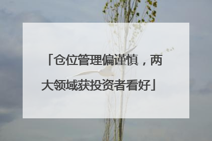 仓位管理偏谨慎，两大领域获投资者看好