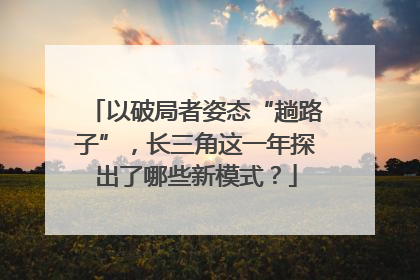 以破局者姿态“趟路子”，长三角这一年探出了哪些新模式？