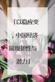 以稳应变，中国经济展现韧性与潜力