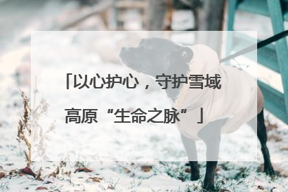以心护心，守护雪域高原“生命之脉”