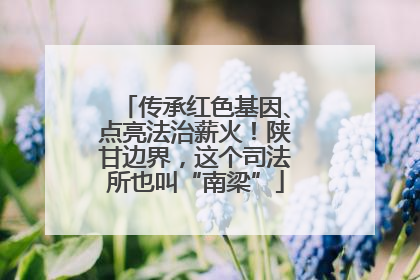 传承红色基因、点亮法治薪火！陕甘边界，这个司法所也叫“南梁”