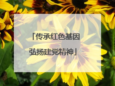 传承红色基因 弘扬建党精神
