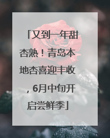 又到一年甜杏熟！青岛本地杏喜迎丰收，6月中旬开启尝鲜季