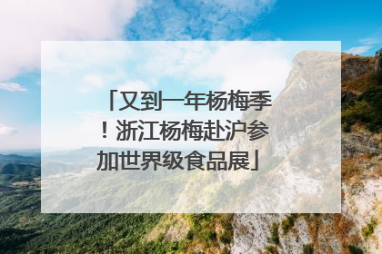 又到一年杨梅季！浙江杨梅赴沪参加世界级食品展