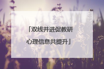 双线并进促教研 心理信息共提升