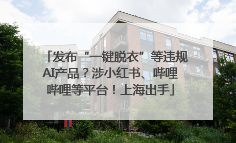 发布“一键脱衣”等违规AI产品？涉小红书、哔哩哔哩等平台！上海出手