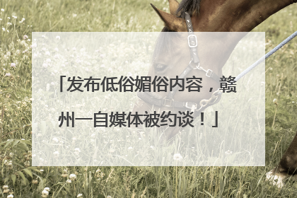 发布低俗媚俗内容，赣州一自媒体被约谈！