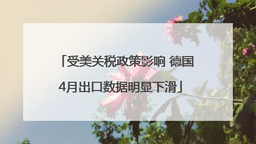 受美关税政策影响 德国4月出口数据明显下滑