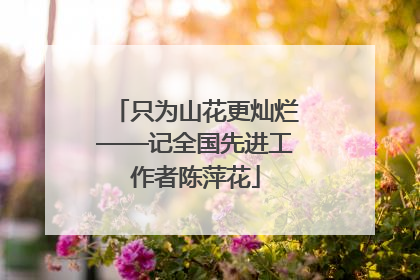 只为山花更灿烂——记全国先进工作者陈萍花