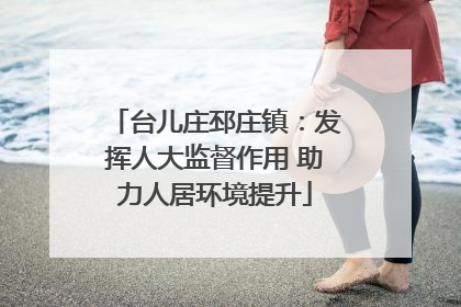 台儿庄邳庄镇：发挥人大监督作用 助力人居环境提升