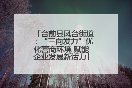 台前县凤台街道：“三向发力”优化营商环境 赋能企业发展新活力