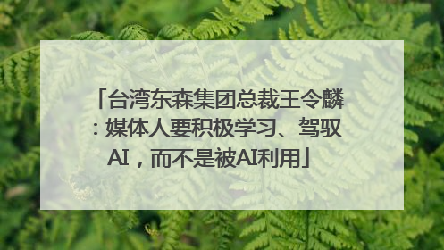 台湾东森集团总裁王令麟：媒体人要积极学习、驾驭AI，而不是被AI利用