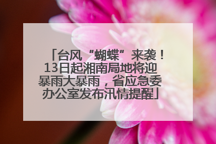 台风“蝴蝶”来袭！13日起湘南局地将迎暴雨大暴雨，省应急委办公室发布汛情提醒
