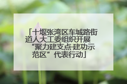 十堰张湾区车城路街道人大工委组织开展 “聚力建支点·建功示范区”代表行动