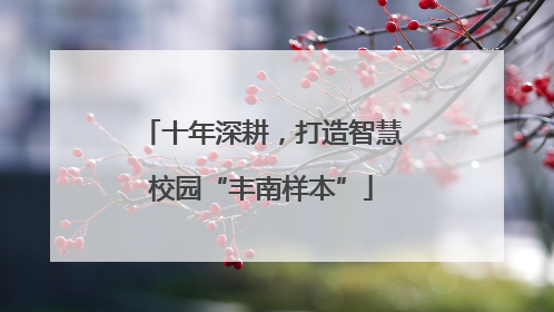 十年深耕，打造智慧校园“丰南样本”