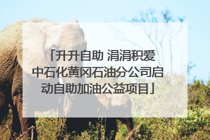 升升自助 涓涓积爱 中石化黄冈石油分公司启动自助加油公益项目
