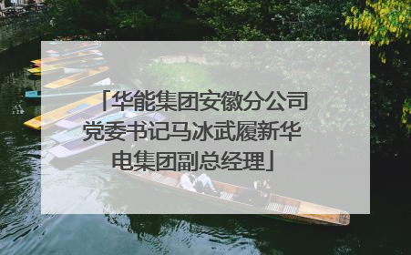 华能集团安徽分公司党委书记马冰武履新华电集团副总经理