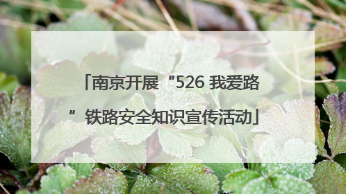 南京开展“526 我爱路”铁路安全知识宣传活动