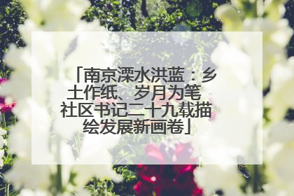 南京溧水洪蓝：乡土作纸、岁月为笔 社区书记二十九载描绘发展新画卷