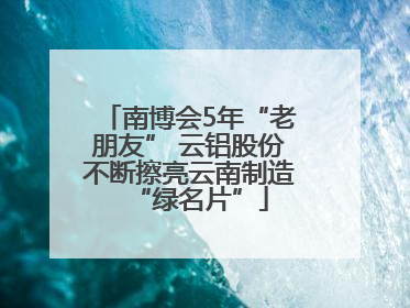 南博会5年“老朋友” 云铝股份不断擦亮云南制造“绿名片”