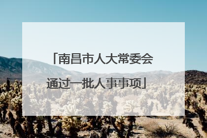 南昌市人大常委会通过一批人事事项