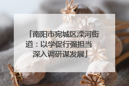 南阳市宛城区溧河街道：以学促行强担当 深入调研谋发展