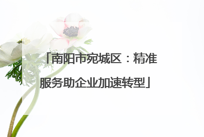 南阳市宛城区：精准服务助企业加速转型