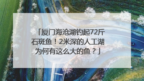 厦门海沧湖钓起72斤石斑鱼！2米深的人工湖为何有这么大的鱼？