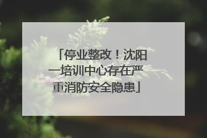 停业整改！沈阳一培训中心存在严重消防安全隐患