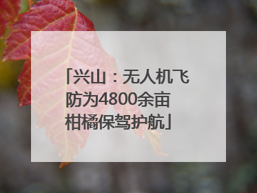 兴山：无人机飞防为4800余亩柑橘保驾护航