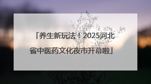 养生新玩法！2025河北省中医药文化夜市开幕啦