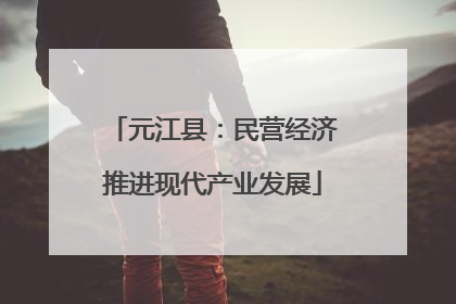 元江县：民营经济推进现代产业发展