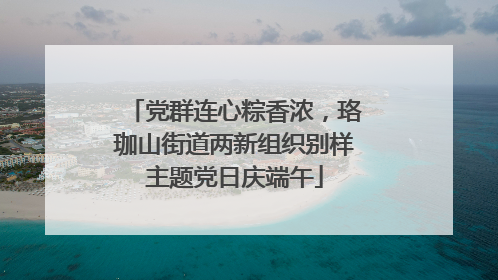 党群连心粽香浓，珞珈山街道两新组织别样主题党日庆端午