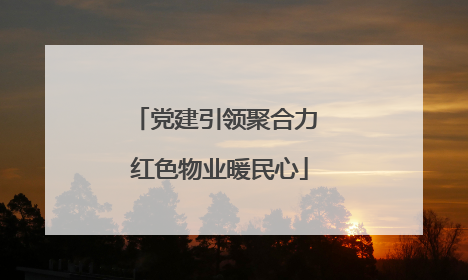 党建引领聚合力 红色物业暖民心