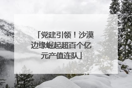 党建引领！沙漠边缘崛起超百个亿元产值连队