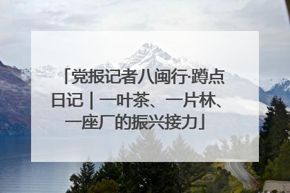 党报记者八闽行·蹲点日记｜一叶茶、一片林、一座厂的振兴接力