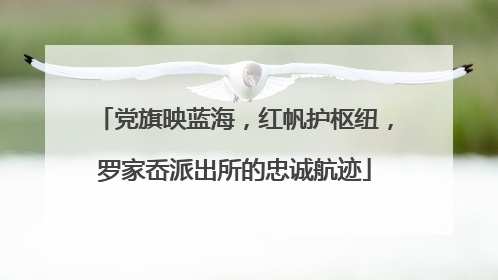 党旗映蓝海，红帆护枢纽，罗家岙派出所的忠诚航迹