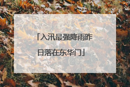入汛最强降雨昨日落在东华门