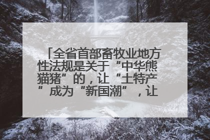 全省首部畜牧业地方性法规是关于“中华熊猫猪”的，让“土特产”成为“新国潮”，让“农产品”升格为“城市IP”
