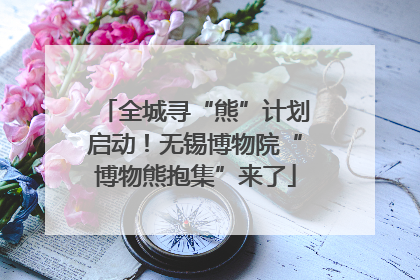 全城寻“熊”计划启动！无锡博物院“博物熊抱集”来了