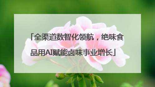 全渠道数智化领航，绝味食品用AI赋能卤味事业增长