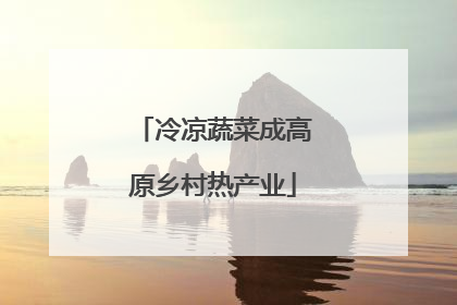 冷凉蔬菜成高原乡村热产业