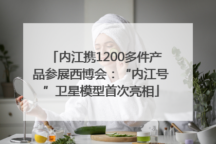 内江携1200多件产品参展西博会：“内江号”卫星模型首次亮相
