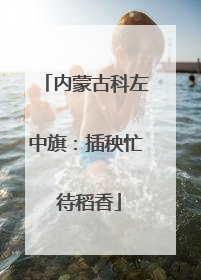 内蒙古科左中旗：插秧忙 待稻香