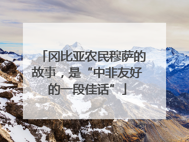 冈比亚农民穆萨的故事，是“中非友好的一段佳话”