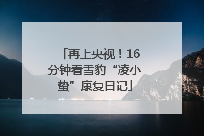 再上央视！16分钟看雪豹“凌小蛰”康复日记
