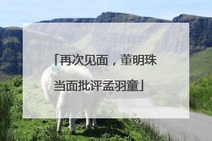 再次见面，董明珠当面批评孟羽童