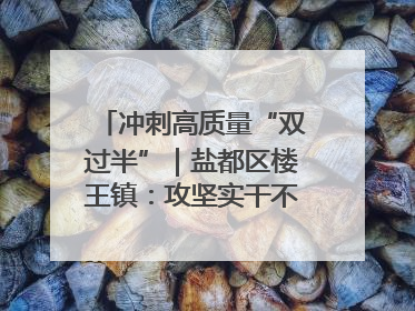 冲刺高质量“双过半”｜盐都区楼王镇：攻坚实干不停歇 奋力跑赢“上半场”