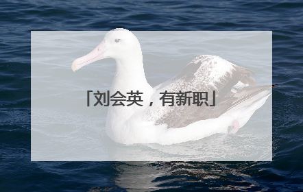 刘会英，有新职